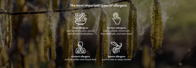 The most important types of allergens