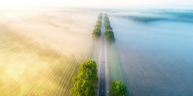 Road in  the morning