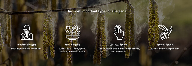 The most important types of allergens