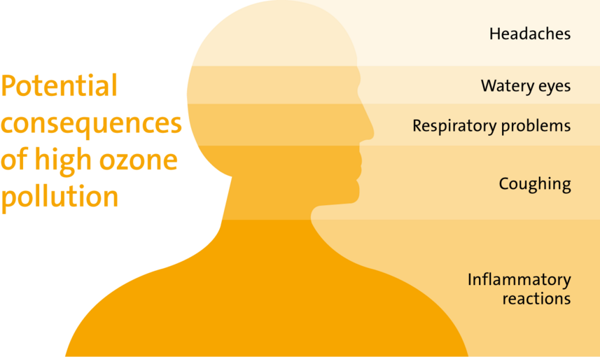 Potential consequences of high ozone pollution